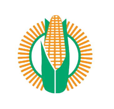 maize-trust-bursary-program
