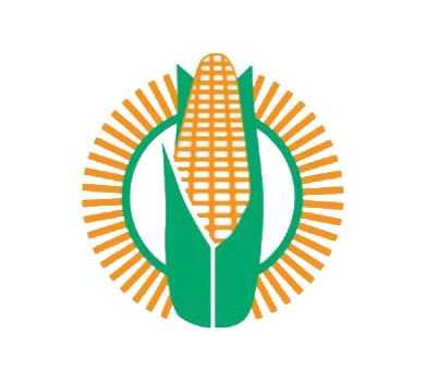maize-trust-bursary-program