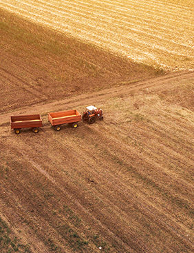 L&L Agricultural Services Sasol-Argricultural-Trust Bursary